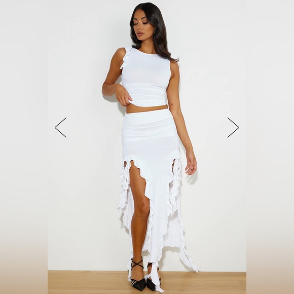 Lioness - Picture 4 of 4